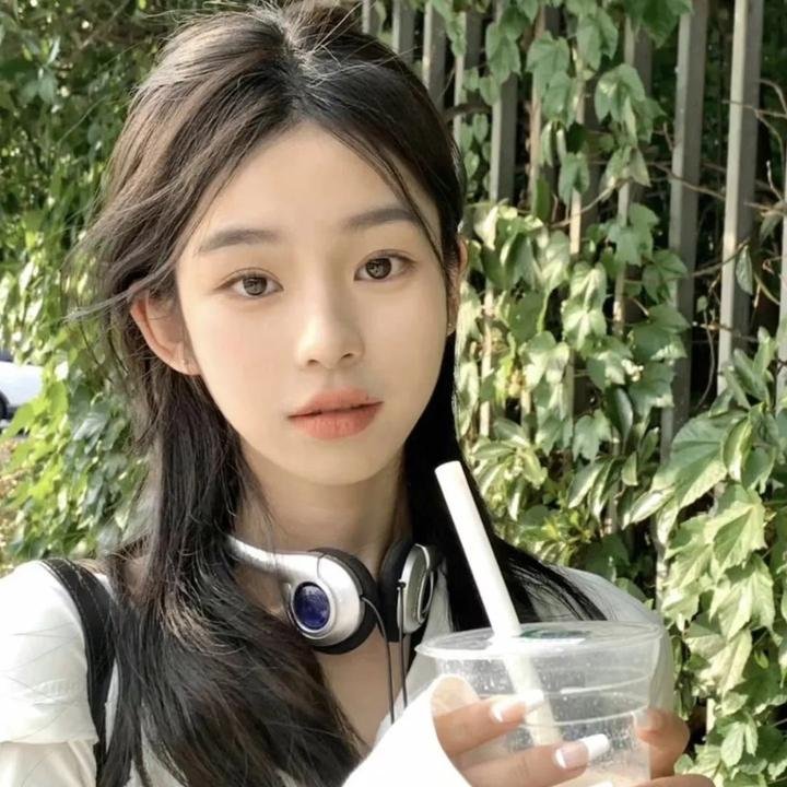 掟上今日子的备忘录 在线观看