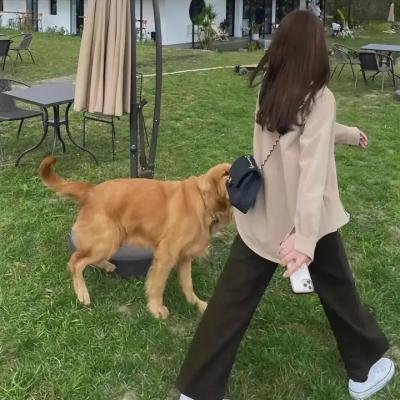 兄长大人解约吧